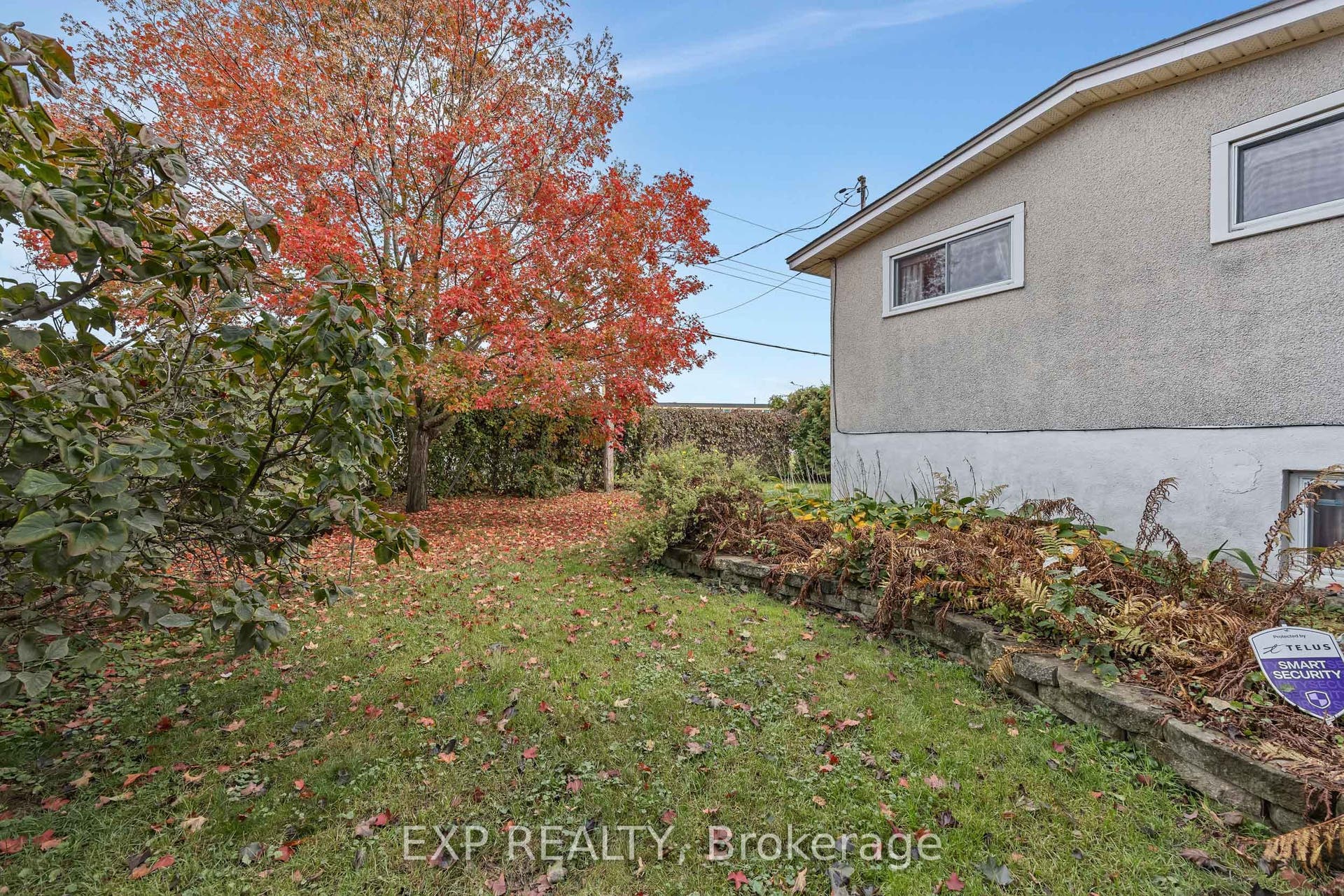 SIDE YARD