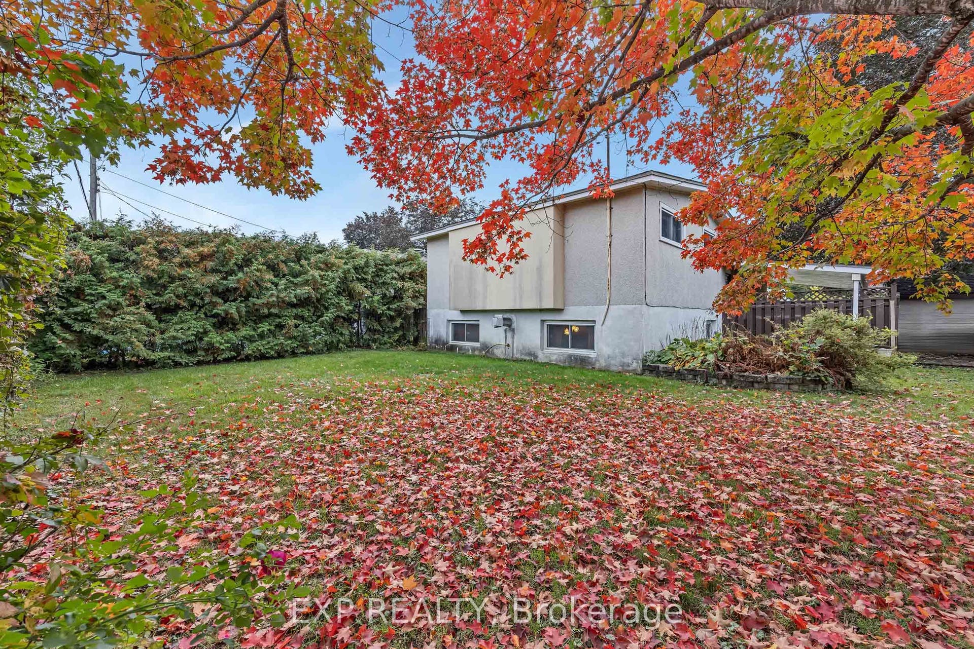BACK YARD