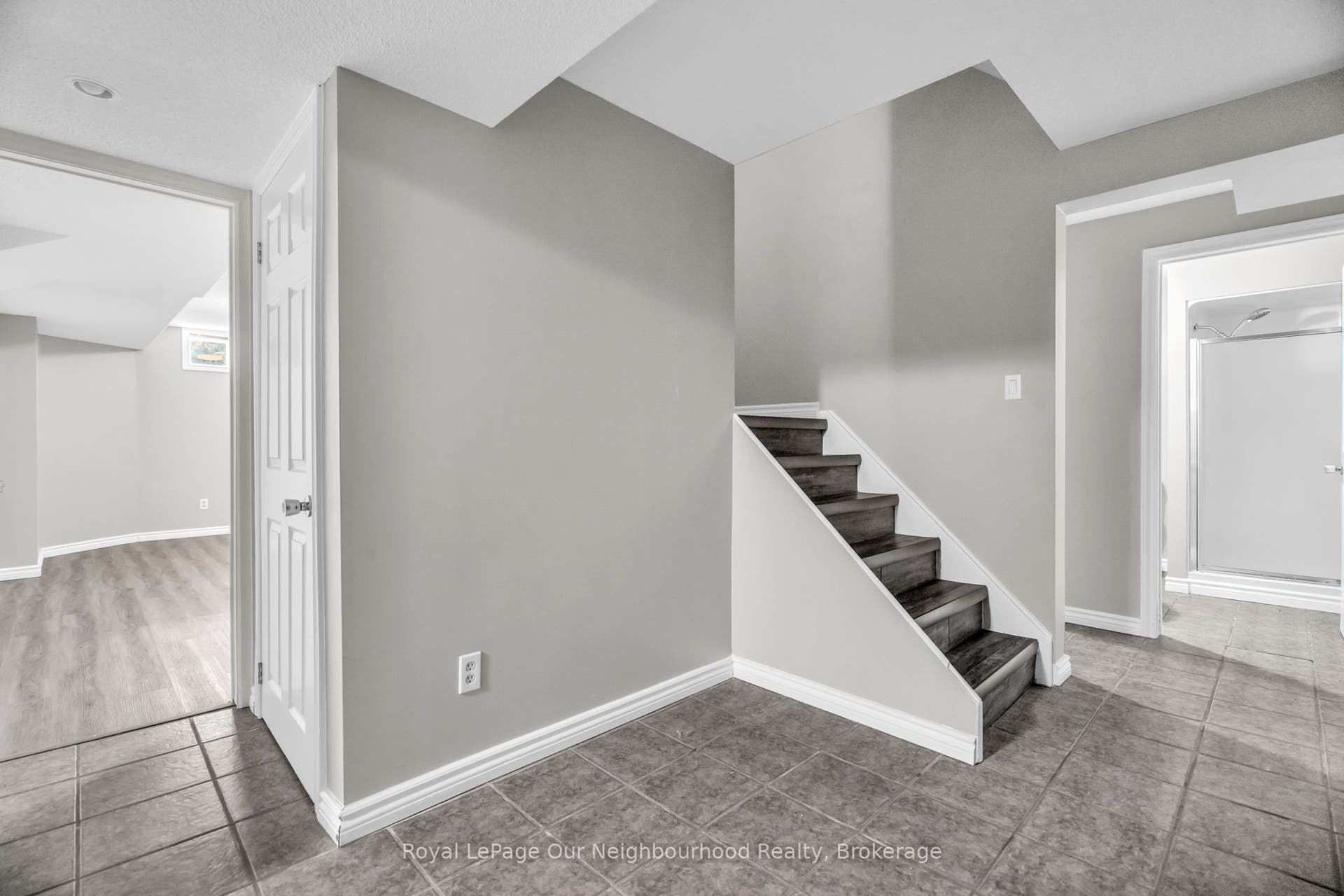 Bright Basement