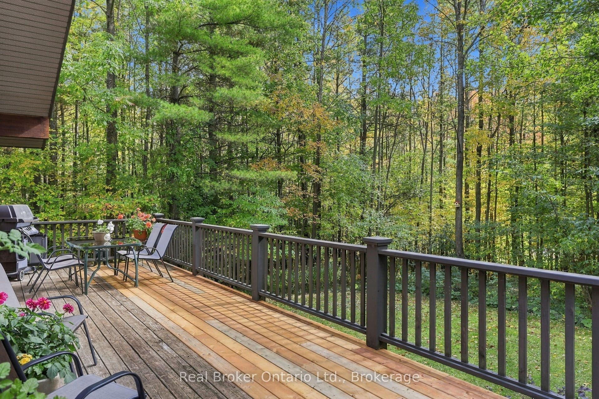 Expansive Deck