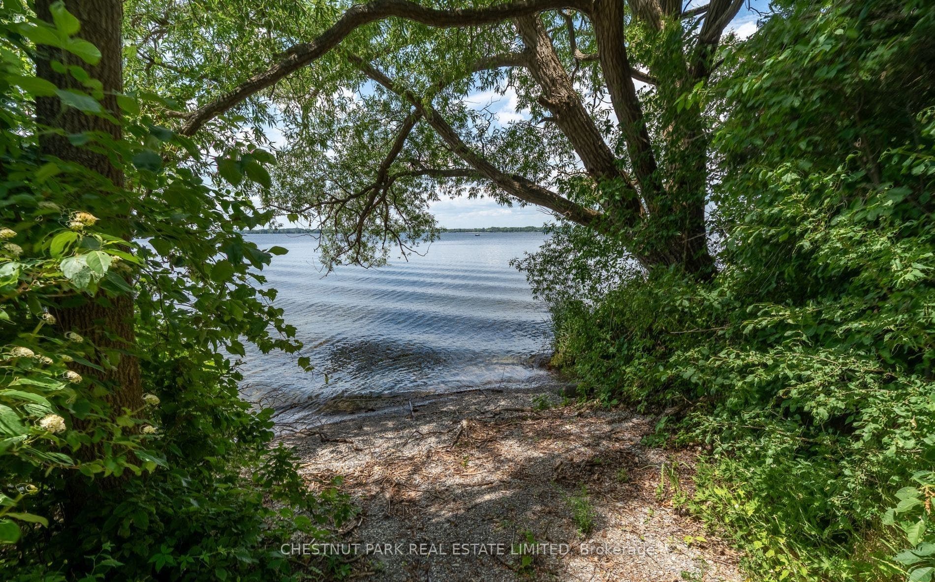 1472 County Rd 7 Road, Prince Edward County, Prince Edward County ON K0K 2T0