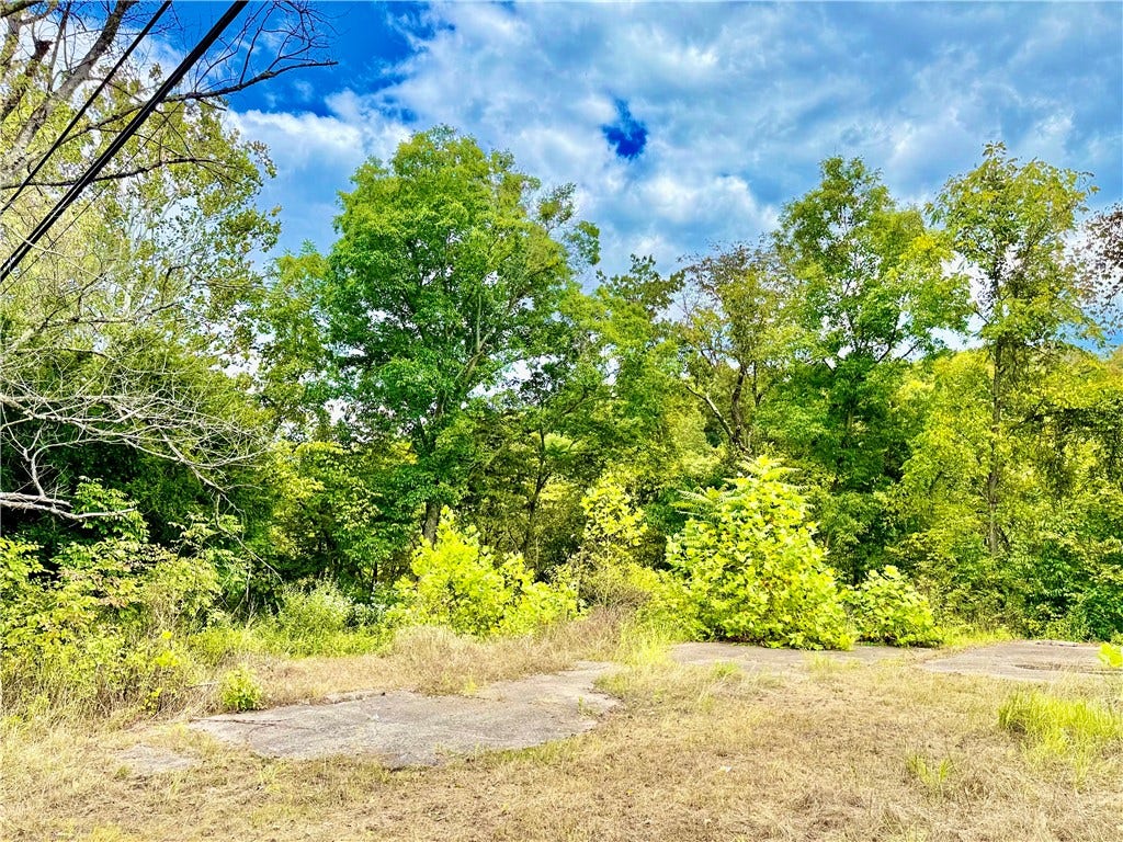 506 Narrows Rd, Brownsville, PA 15417