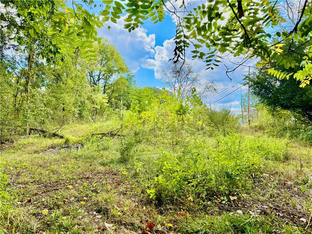 506 Narrows Rd, Brownsville, PA 15417