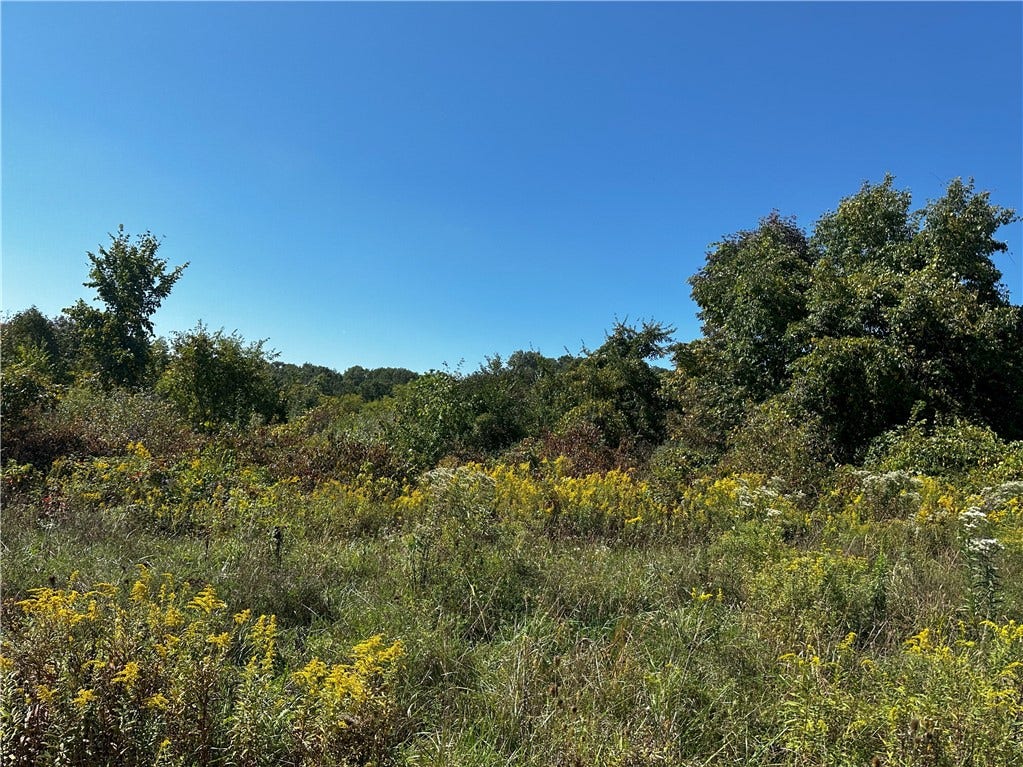 112 Bair Blvd, New Stanton Boro, PA 15672