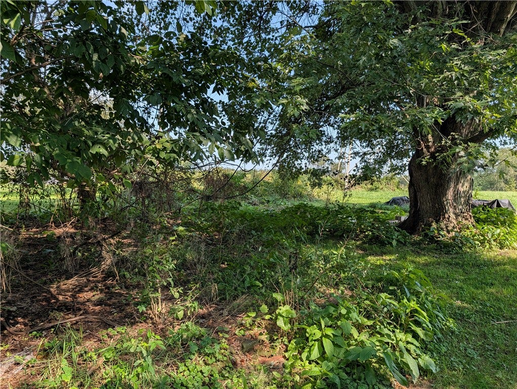315 Telegraph Rd., Brownsville, PA 15417