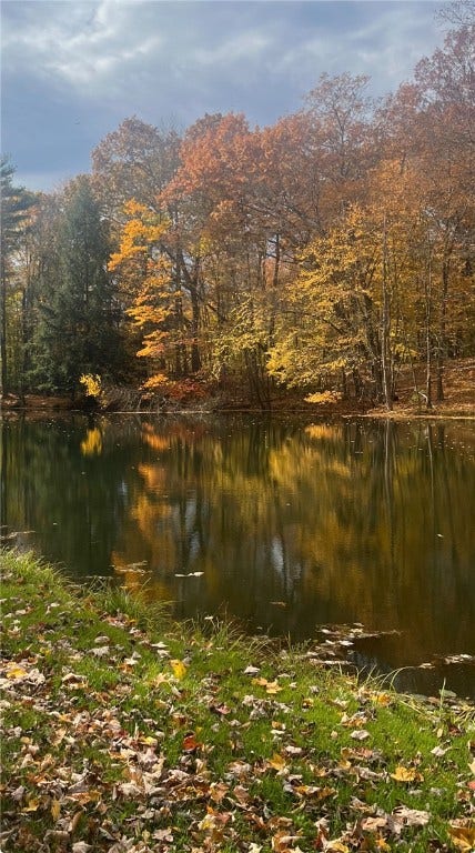 199 Anglers Rest Lane, Utica, PA 16362