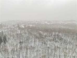 0 Spring Run Rd, Coraopolis, PA 15108