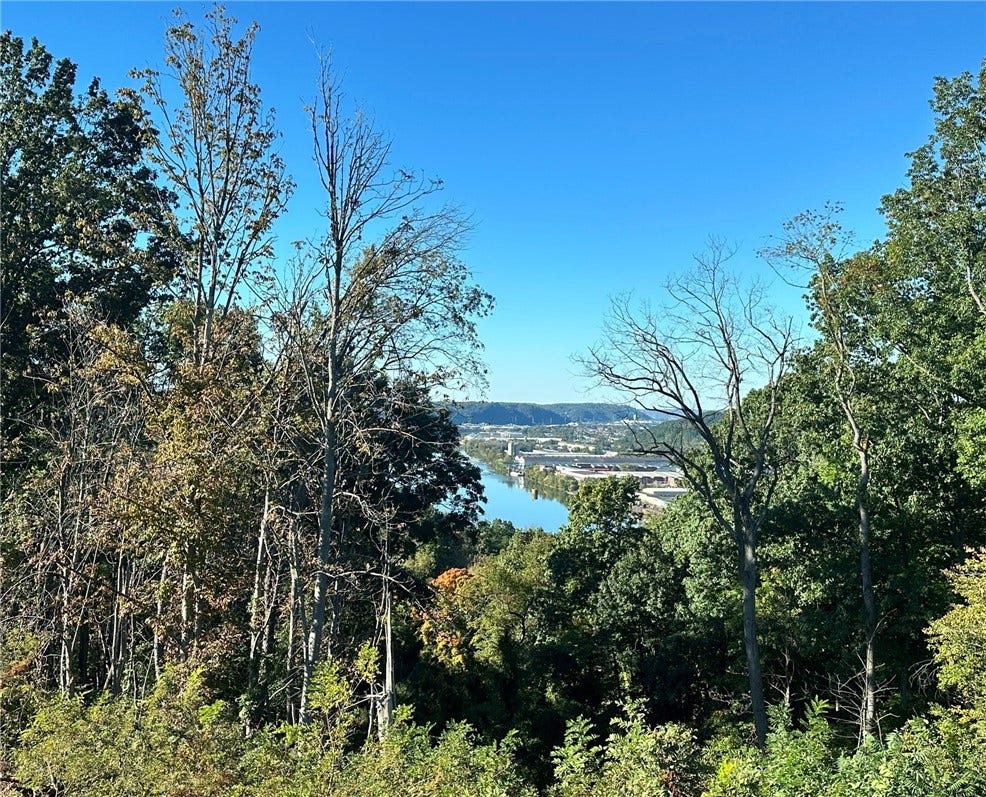 View from the back of the home