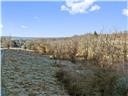 0 Williams Street, Washington, PA 15301
