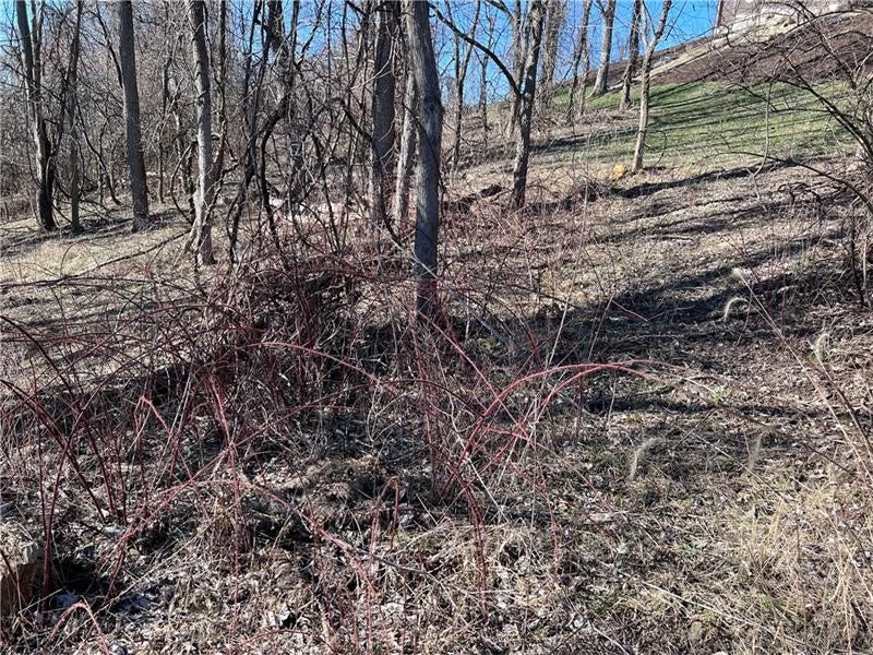 Lot#5 Tuscany Lane, Washington, PA 15301