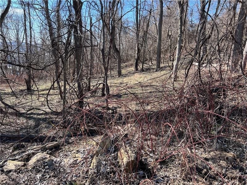 Lot#5 Tuscany Lane, Washington, PA 15301