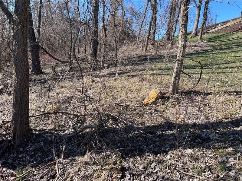 Lot#5 Tuscany Lane, Washington, PA 15301