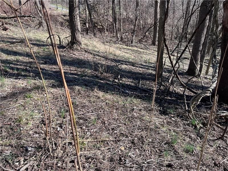 Lot#5 Tuscany Lane, Washington, PA 15301