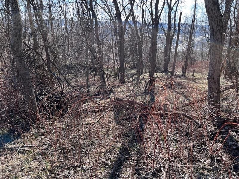 Lot#5 Tuscany Lane, Washington, PA 15301