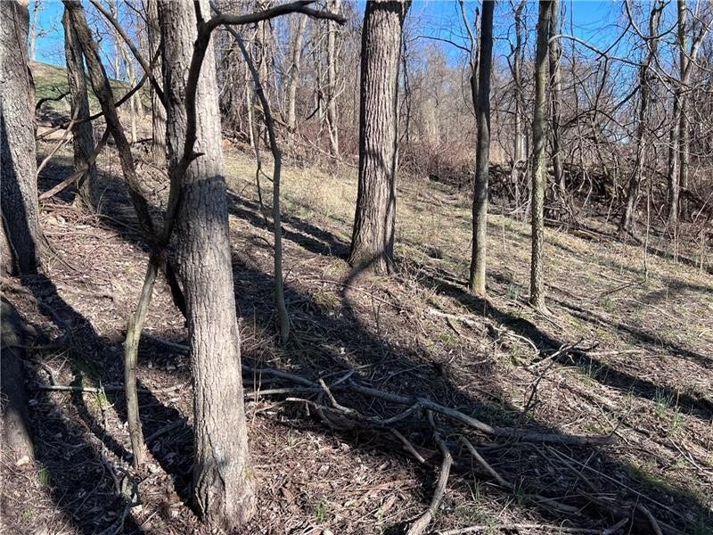Lot#5 Tuscany Lane, Washington, PA 15301