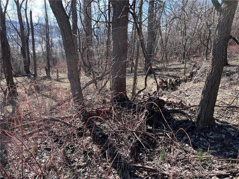 Lot#5 Tuscany Lane, Washington, PA 15301