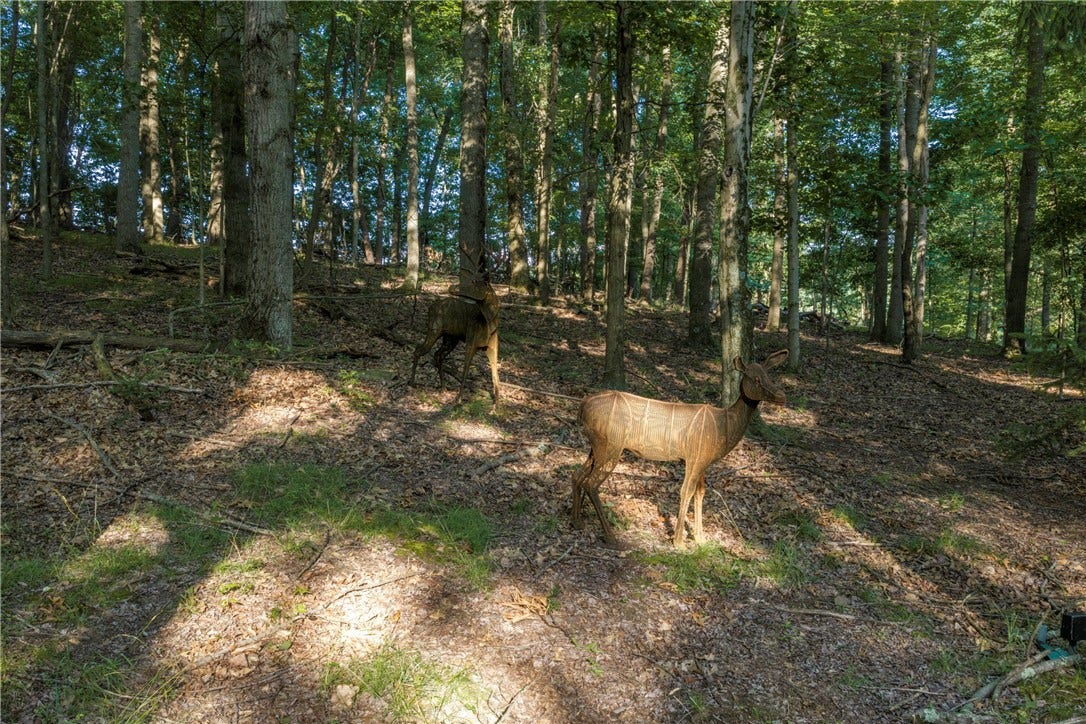 LOT Dutchtown Rd, Butler, PA 16002