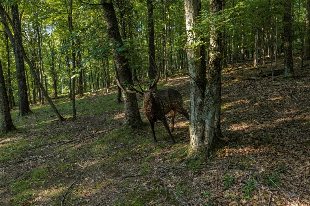 LOT Dutchtown Rd, Butler, PA 16002
