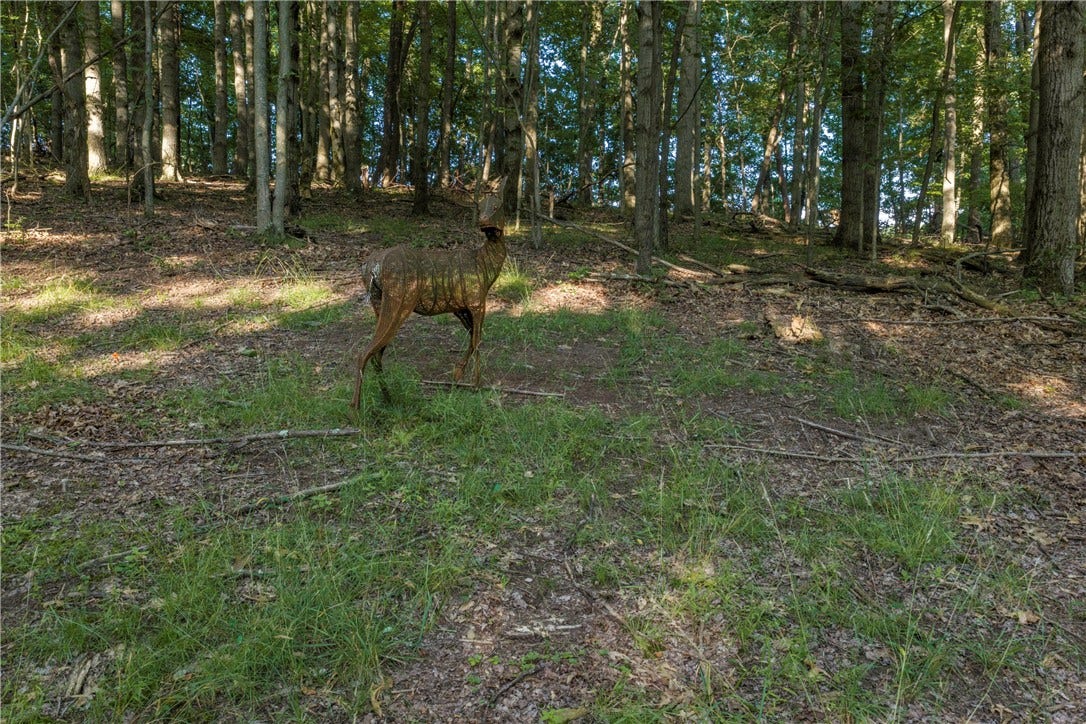 LOT Dutchtown Rd, Butler, PA 16002