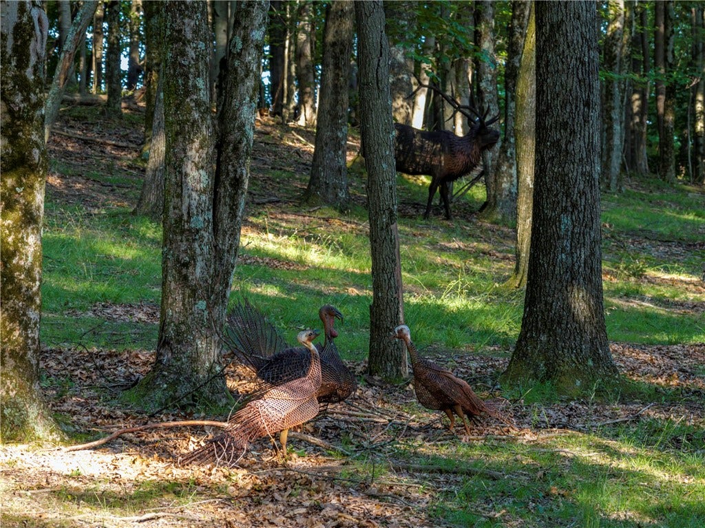 LOT Dutchtown Rd, Butler, PA 16002