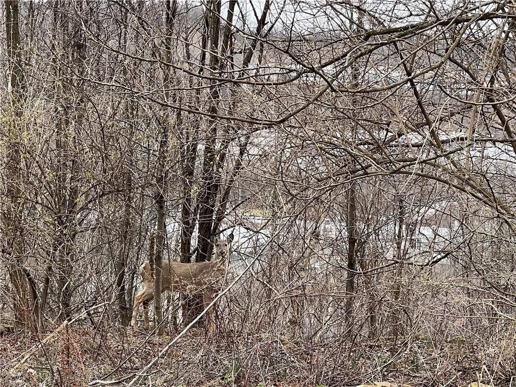 Lot#6 Tuscany Lane, Washington, PA 15301