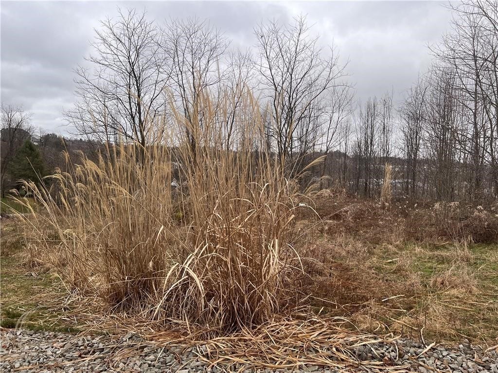 Lot#6 Tuscany Lane, Washington, PA 15301