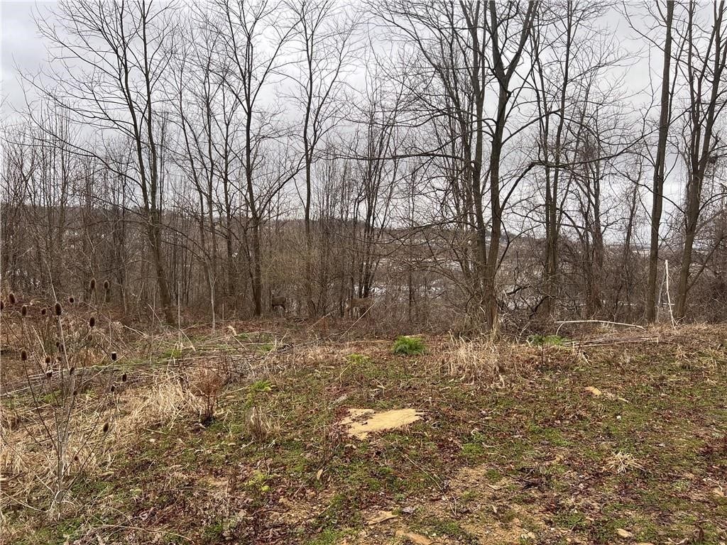 Lot#6 Tuscany Lane, Washington, PA 15301