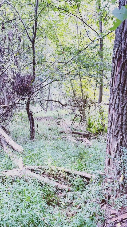 Seller captured photo on a walk through the property