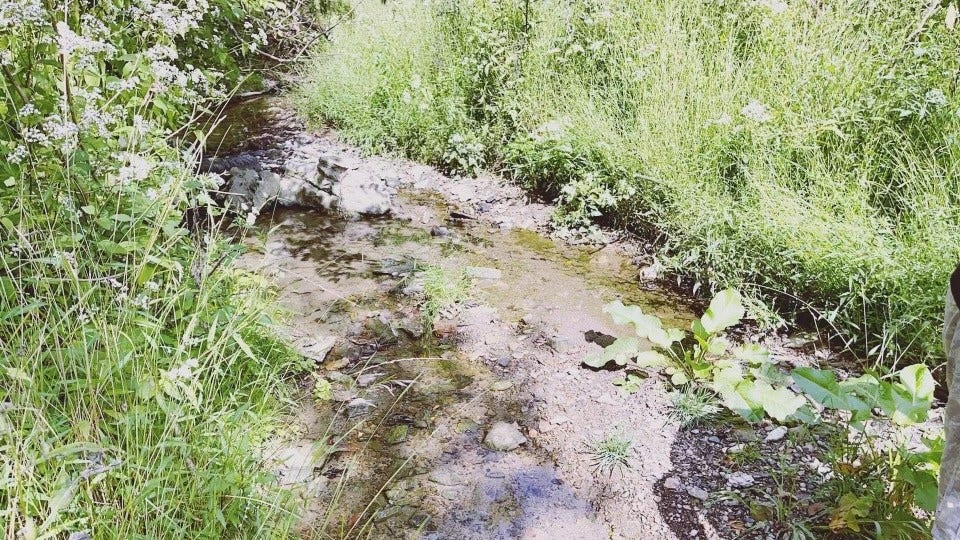 Seller captured photo on a walk through the property