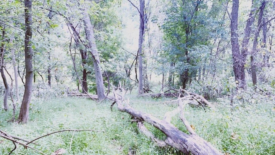Seller captured photo on a walk through the property