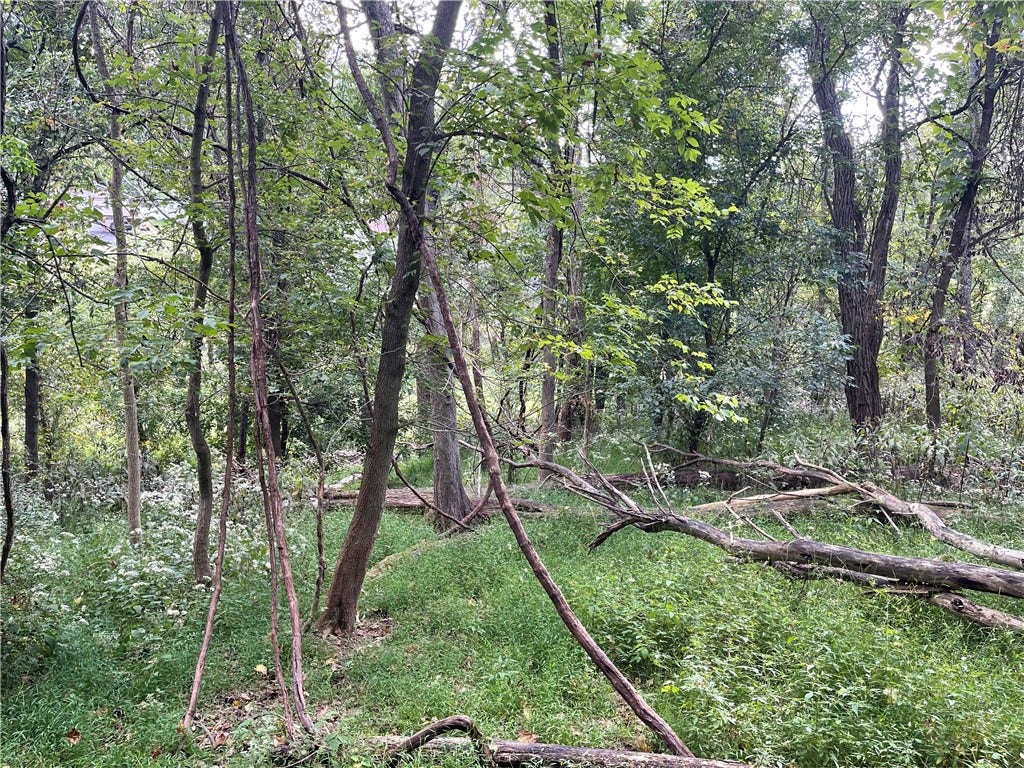 Seller captured photo on a walk through the property