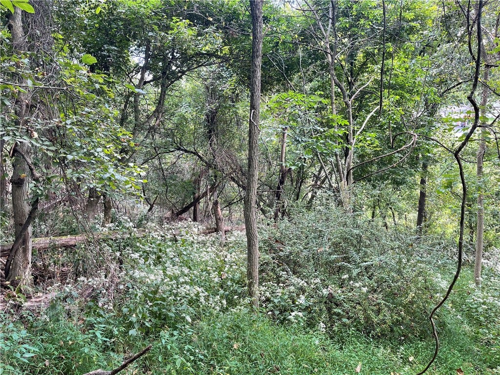 Seller captured photo on a walk through the property