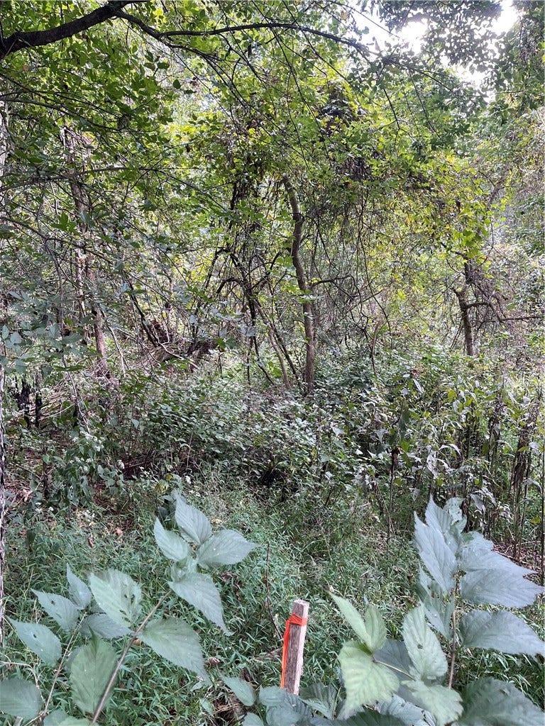 Seller captured photo on a walk through the property