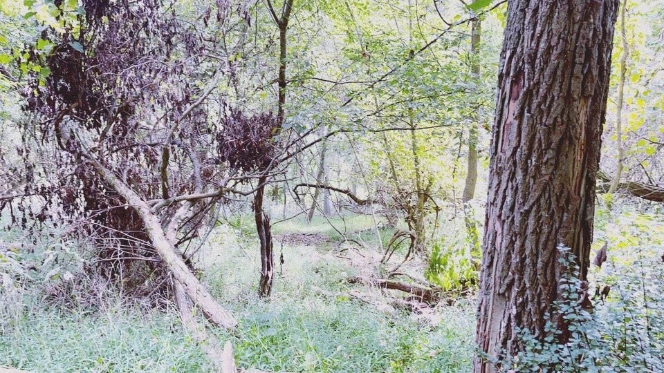 Seller captured photo on a walk through the property