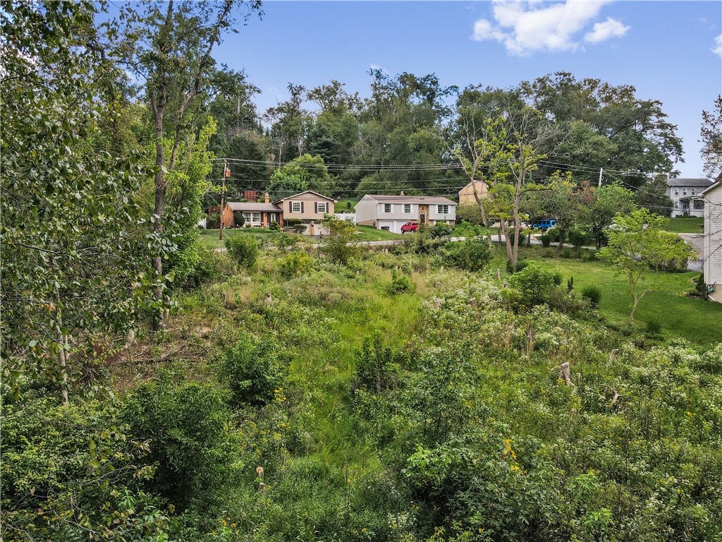 You, your kids, your dog, or maybe even your friends will have fun playing in the creek behind your home...