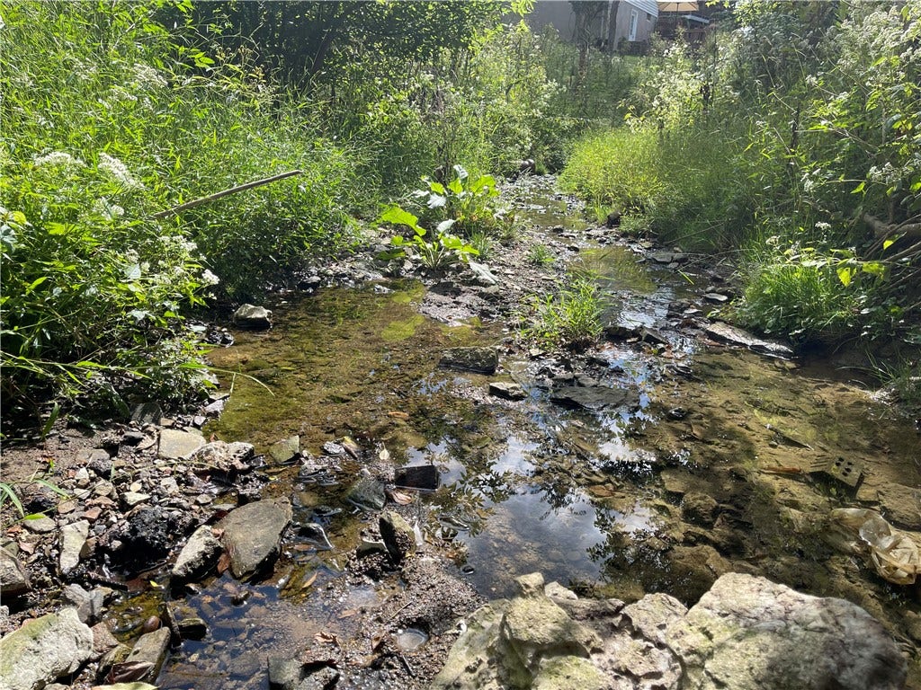 Seller captured photo on a walk through the property