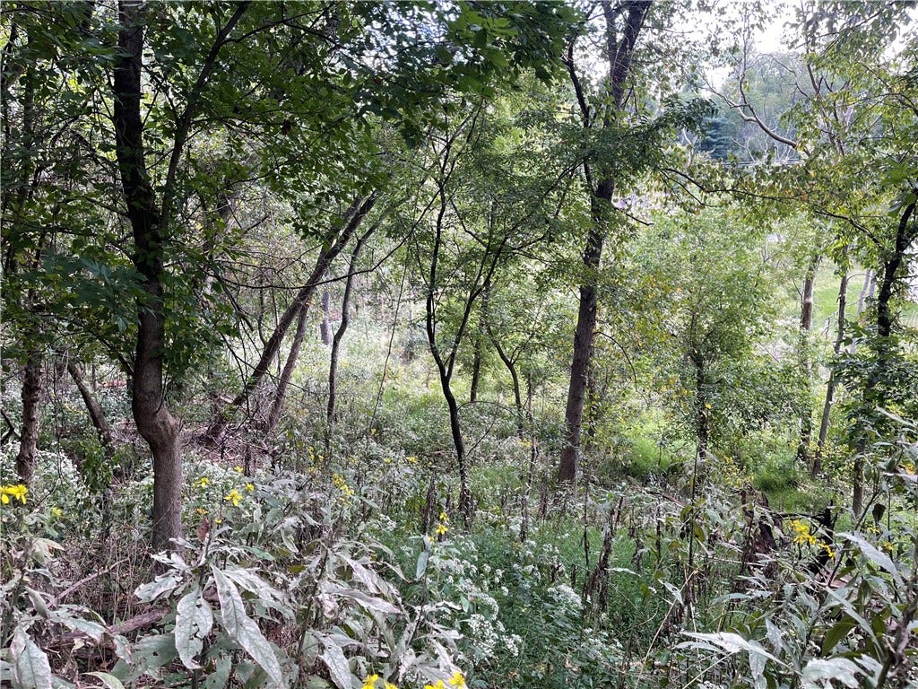 Seller captured photo on a walk through the property