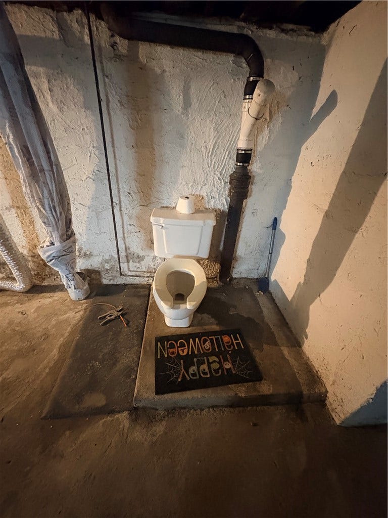 Toilet in basement