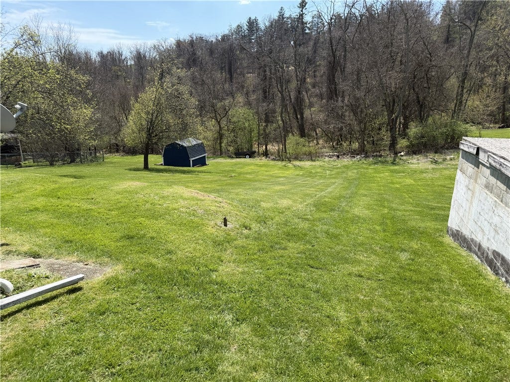 #298, rear yard