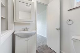 New vanity