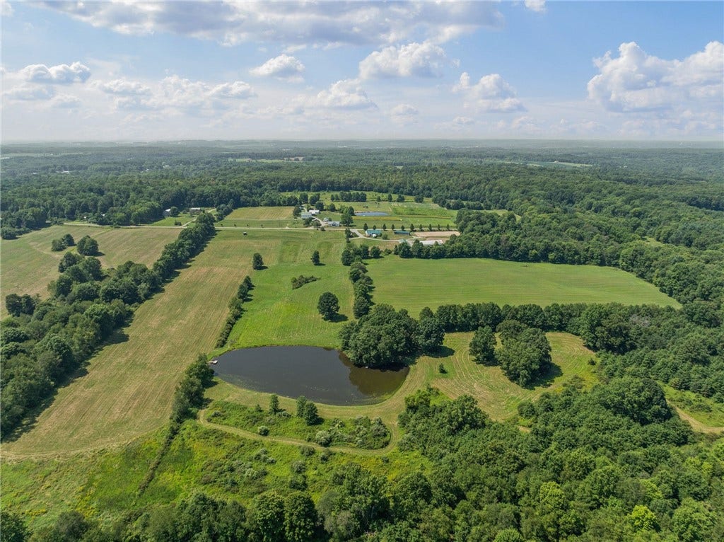 Open pastures, barns, and rings come together in a true working farm setting.