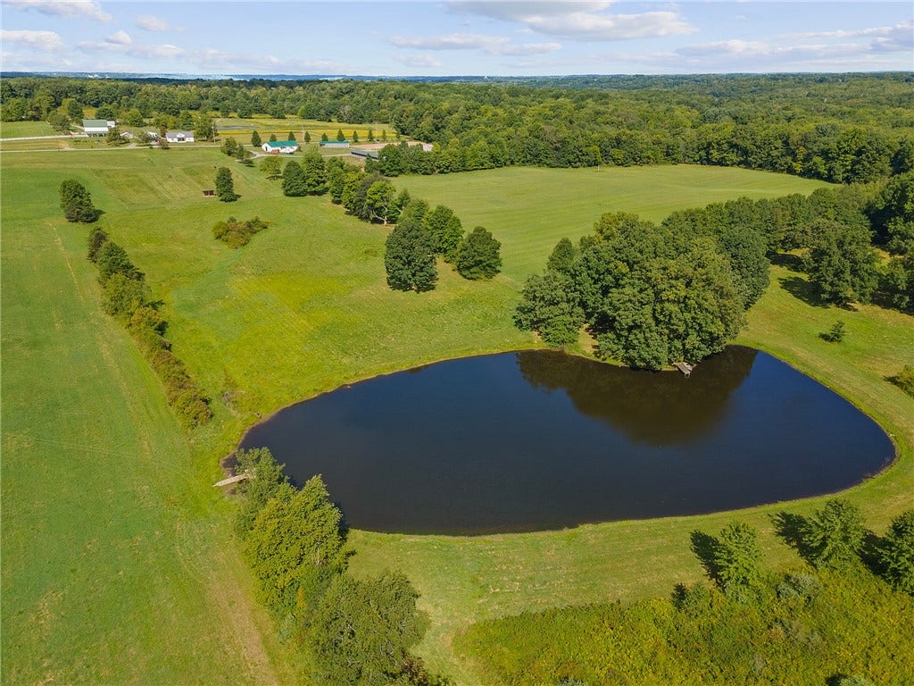 The large stocked pond adds beauty, recreation, and a true sense of retreat.