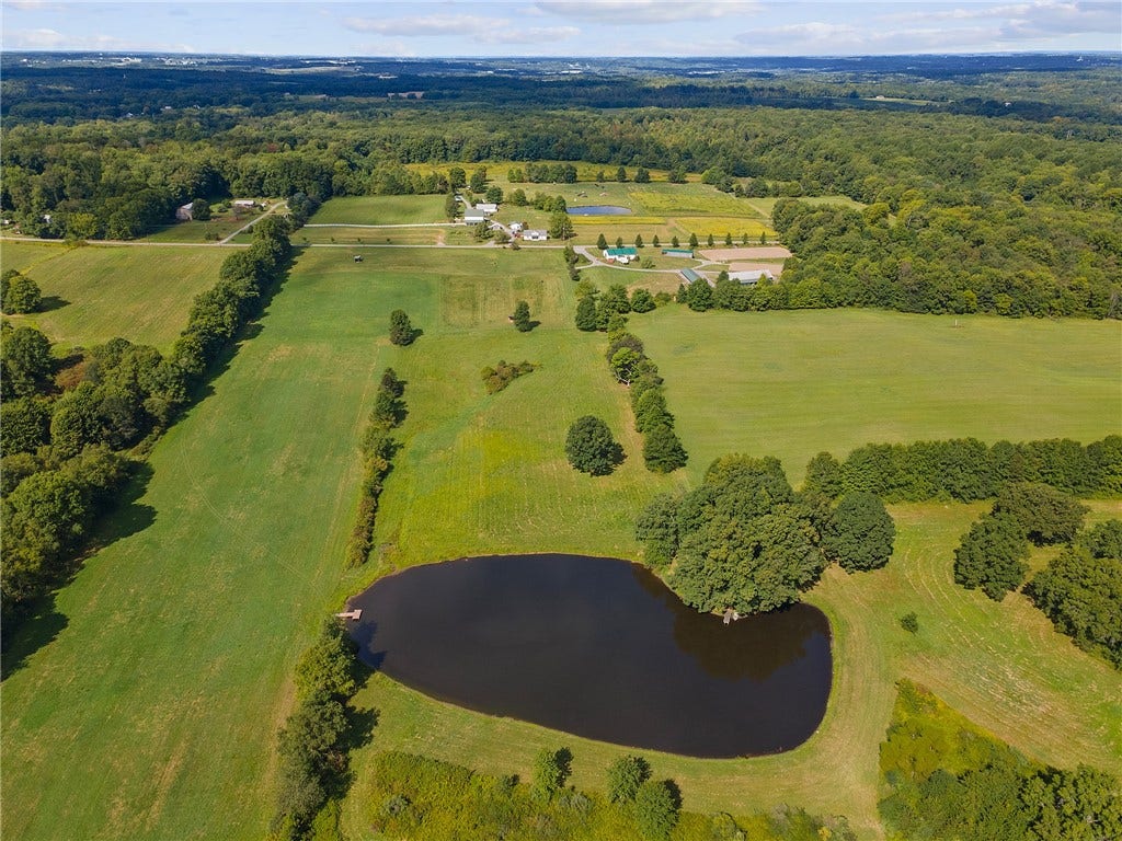A rare blend of farmhouse charm, functional barns, and a scenic stocked pond.