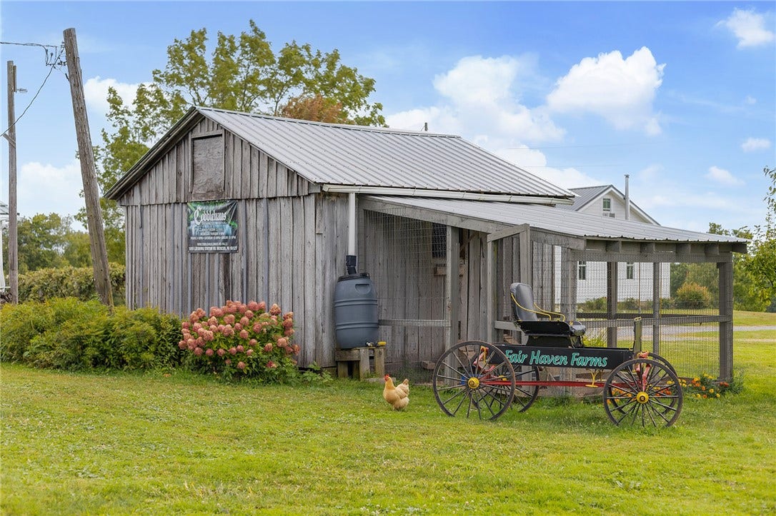 Thoughtfully designed spaces for horses, riders, and everyday barn life.