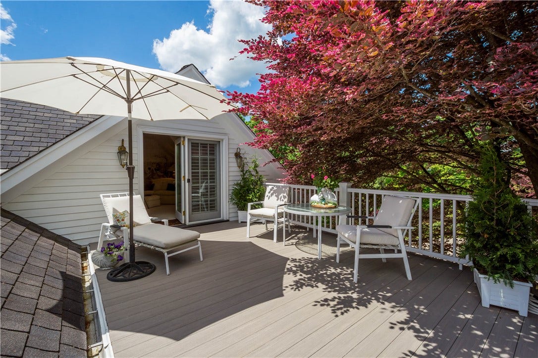 What a great private area to relax under the variegated beech tree!