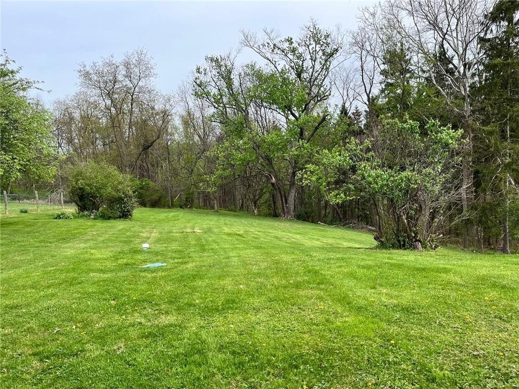 Back Yard looking towards woods