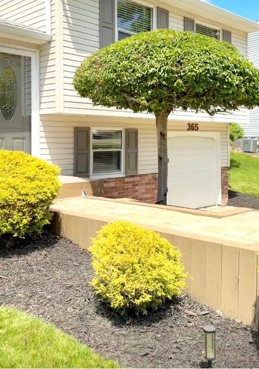 Front walkway.