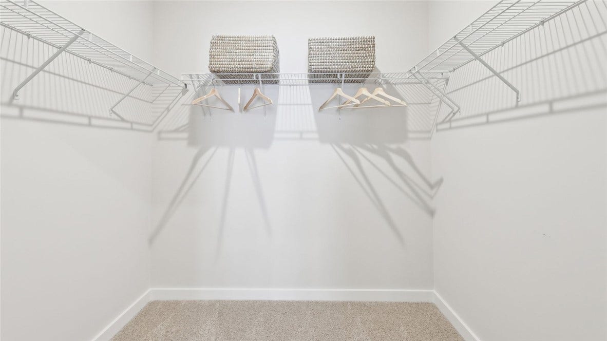 Great Size Walk-In Closet!