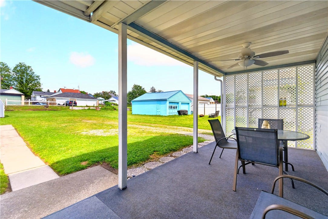 Look how level the back yard is.