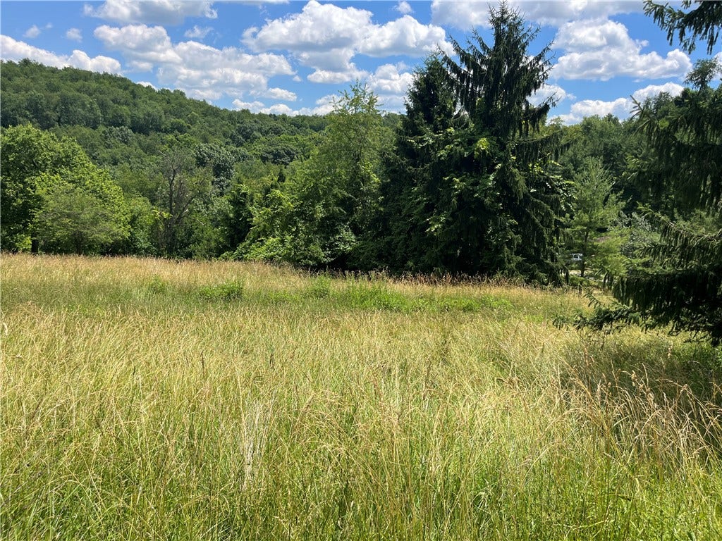 00 Calhoun Road, Elizabeth, PA 15037
